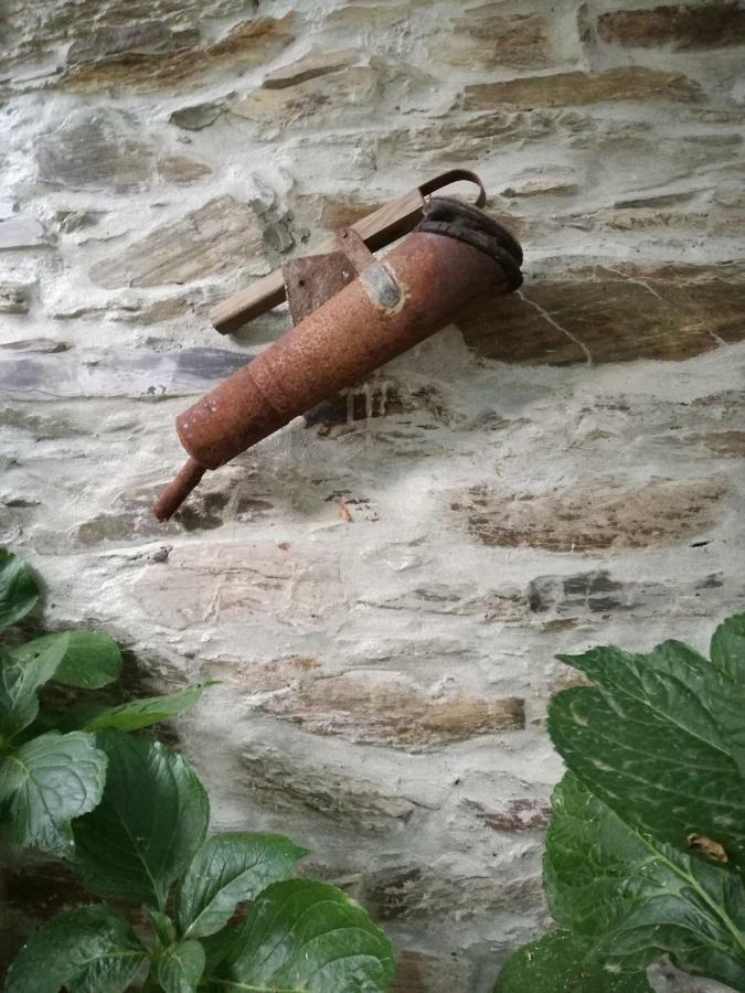 فيلا O Ze Ja Dormiu Aqui Celeiros المظهر الخارجي الصورة